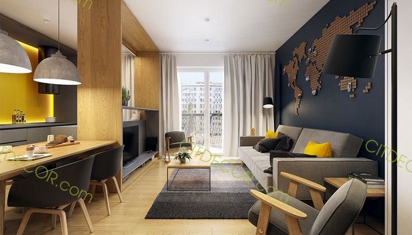 Thiết kế căn hộ chung cư 1 phòng ngủ dành cho người độc thân